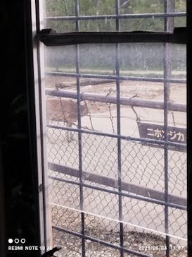 那須サファリパークに投稿された画像（2025/5/5）