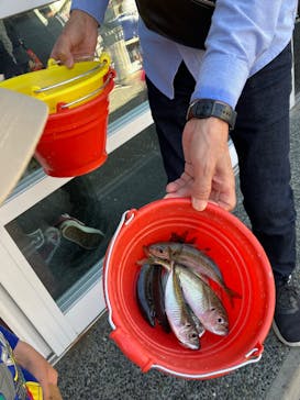 城崎マリンワールドに投稿された画像（2025/5/5）