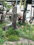 天王寺動物園に投稿された画像（2025/5/5）