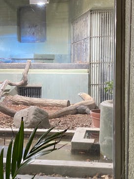 名古屋市東山動植物園に投稿された画像（2025/5/5）