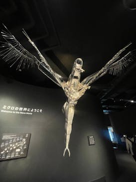 滋賀県立琵琶湖博物館に投稿された画像（2025/5/5）