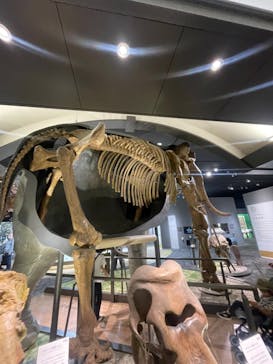 滋賀県立琵琶湖博物館に投稿された画像（2025/5/5）