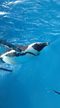 サンシャイン水族館に投稿された画像（2025/5/5）