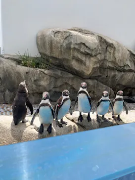 仙台うみの杜水族館に投稿された画像（2025/5/5）