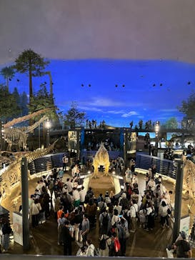 福井県立恐竜博物館に投稿された画像（2025/5/5）