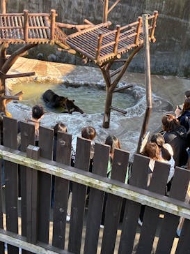 のぼりべつクマ牧場に投稿された画像（2025/5/5）