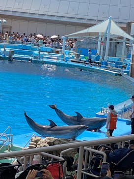 名古屋港水族館に投稿された画像（2025/5/5）