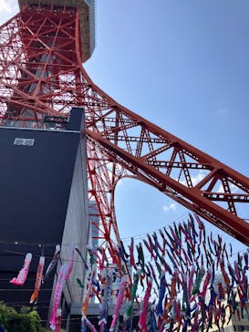 東京タワーに投稿された画像（2025/5/5）