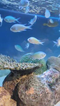 サンシャイン水族館に投稿された画像（2025/5/5）