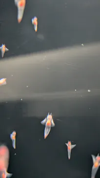 サンシャイン水族館に投稿された画像（2025/5/5）