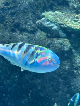名古屋港水族館に投稿された画像（2025/5/5）