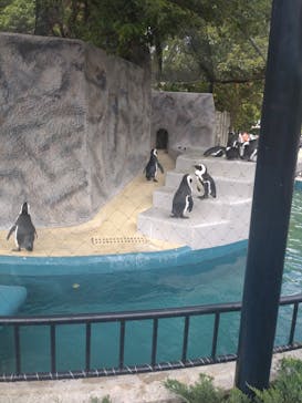 恩賜上野動物園に投稿された画像（2025/5/5）