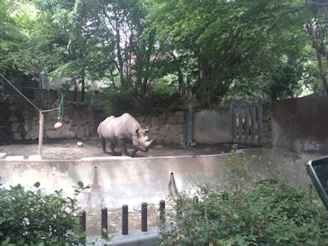 恩賜上野動物園に投稿された画像（2025/5/5）
