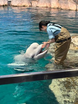 名古屋港水族館に投稿された画像（2025/5/5）