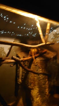 名古屋市東山動植物園に投稿された画像（2025/5/5）