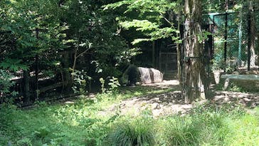 名古屋市東山動植物園に投稿された画像（2025/5/5）