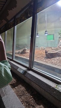 名古屋市東山動植物園に投稿された画像（2025/5/5）