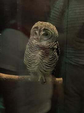 サンシャイン水族館に投稿された画像（2025/5/5）