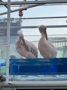 サンシャイン水族館に投稿された画像（2025/5/5）