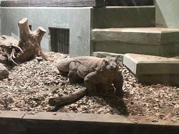 名古屋市東山動植物園に投稿された画像（2025/5/5）