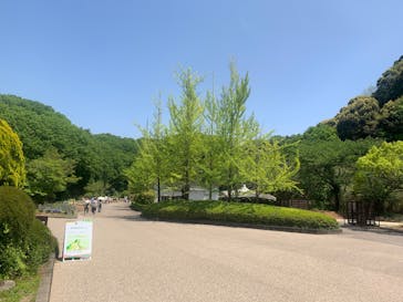 ぎふワールド・ローズガーデンに投稿された画像（2025/5/5）