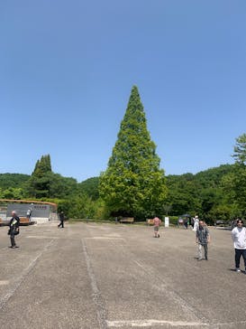 ぎふワールド・ローズガーデンに投稿された画像（2025/5/5）