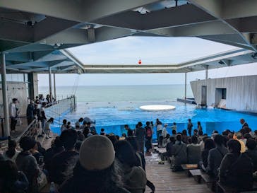 上越市立水族博物館 うみがたりに投稿された画像（2025/5/5）