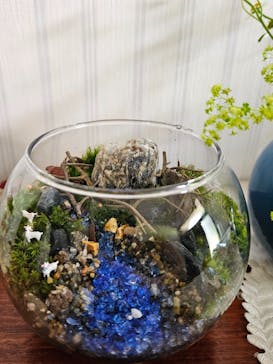 カルチャースクールいろはに投稿された画像（2025/5/5）