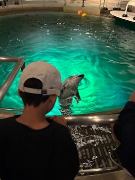 城崎マリンワールドに投稿された画像（2025/5/5）