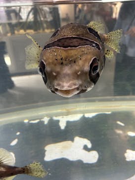 NIFREL（ニフレル）に投稿された画像（2025/5/5）