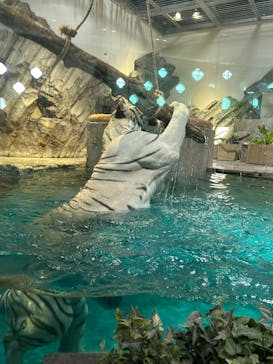 NIFREL（ニフレル）に投稿された画像（2025/5/5）