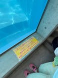 竹島水族館に投稿された画像（2025/5/5）