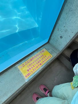 竹島水族館に投稿された画像（2025/5/5）