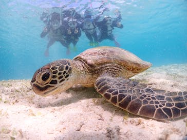 宮古島マリンショップSmileyに投稿された画像（2025/5/5）