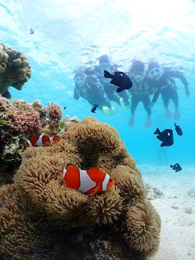 宮古島マリンショップSmileyに投稿された画像（2025/5/5）