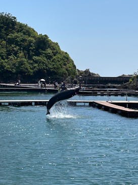 太地町立くじらの博物館に投稿された画像（2025/5/5）