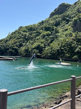 太地町立くじらの博物館に投稿された画像（2025/5/5）