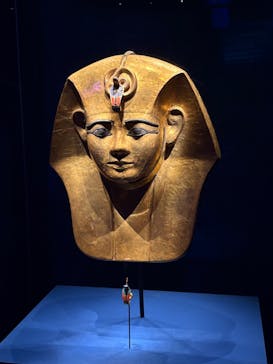 ACN ラムセス大王展 ファラオたちの黄金に投稿された画像（2025/5/5）