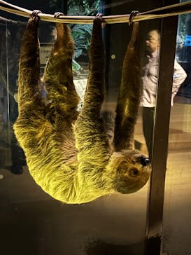 カワスイ 川崎⽔族館に投稿された画像（2025/5/5）