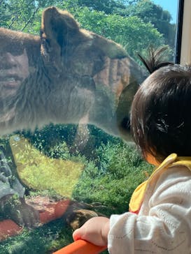 東京動物園協会_多摩動物公園に投稿された画像（2025/5/5）