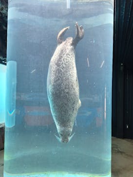 東北サファリパークに投稿された画像（2025/5/5）