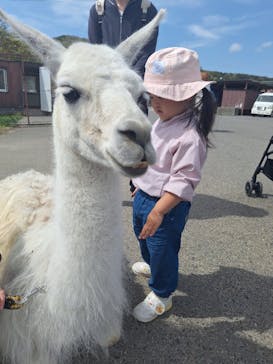 東北サファリパークに投稿された画像（2025/5/5）