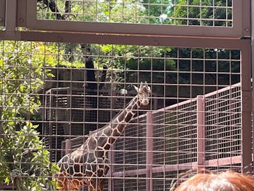 恩賜上野動物園に投稿された画像（2025/5/5）