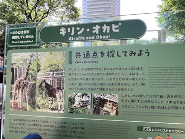 恩賜上野動物園に投稿された画像（2025/5/5）