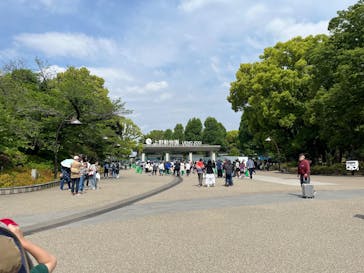 恩賜上野動物園に投稿された画像（2025/5/5）