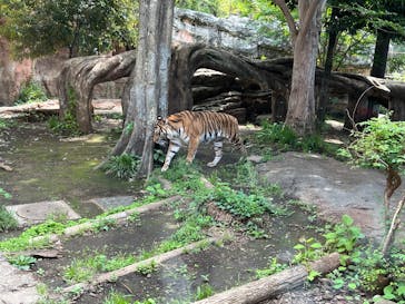 恩賜上野動物園に投稿された画像（2025/5/5）