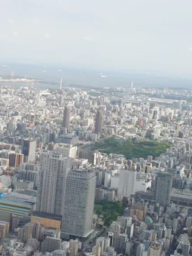 東京スカイツリーに投稿された画像（2025/5/5）