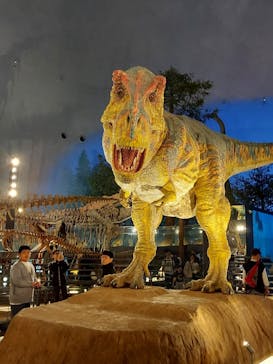 福井県立恐竜博物館に投稿された画像（2025/5/5）
