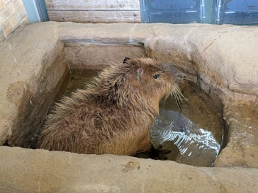 新江ノ島水族館に投稿された画像（2025/5/5）