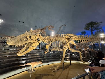 福井県立恐竜博物館に投稿された画像（2025/5/5）